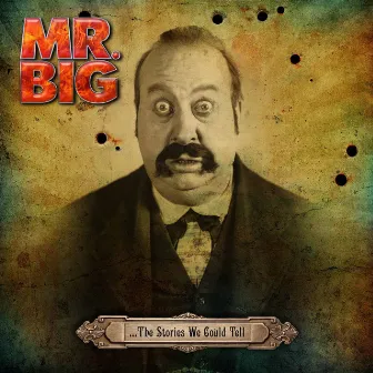 ...The Stories We Could Tell (with Commentary) by Mr. Big