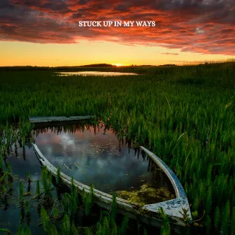 Stuck up in My Ways by Shozzy