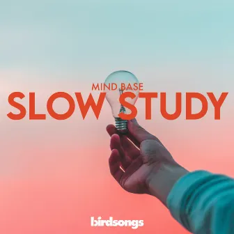 Slow Study by Mind Base