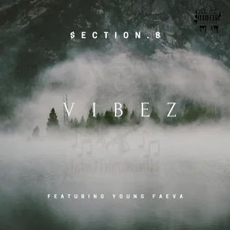 Vibez by $ection.8