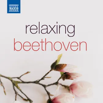 Relaxing Beethoven by Boris Giltburg