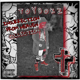 The Insurrection From Heaven Collection (vol. 1) by ToyBokz