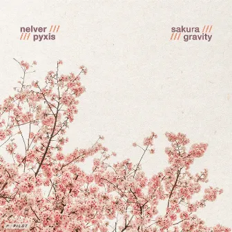 Sakura / Gravity by Nelver