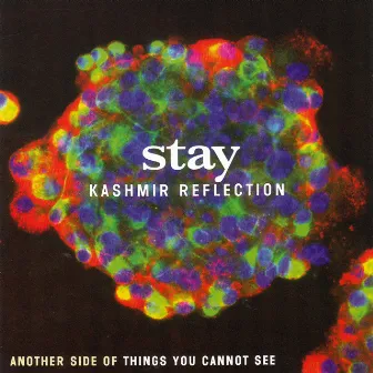 Kashmir Reflection by Stay