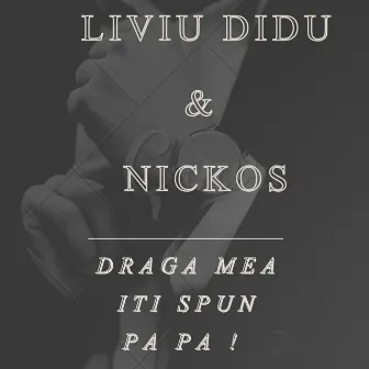 Draga Mea Iti Spun Pa Pa! by Liviu Didu