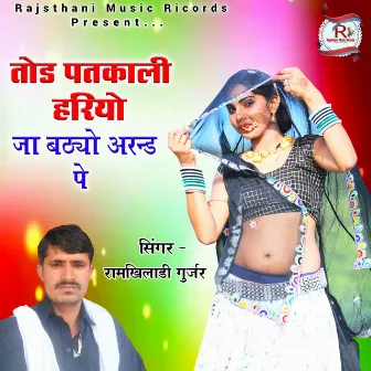 Tod Patkali Hariyo Ja Baityo Arand P by Ramkhiladi Gurjar