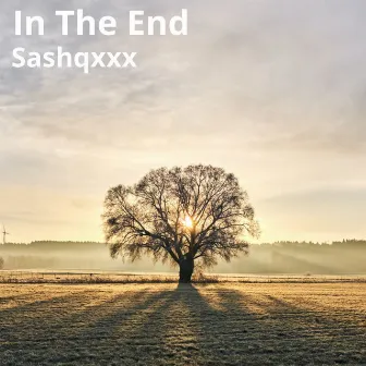 In the End by Sashqxxx