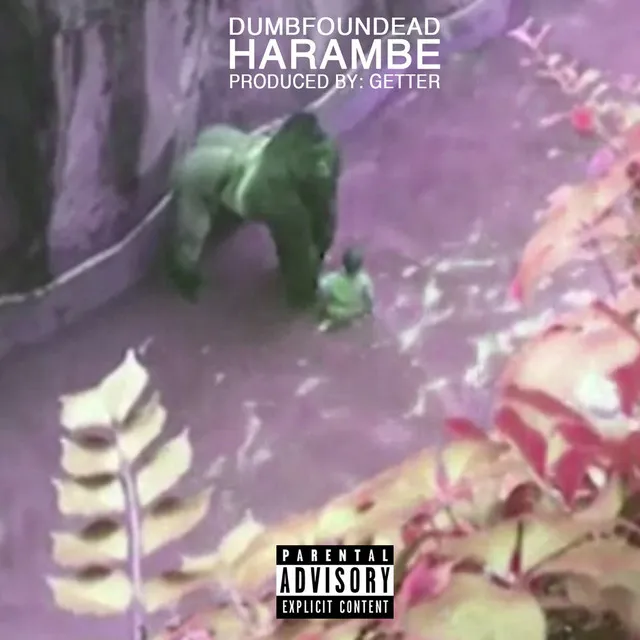 Harambe