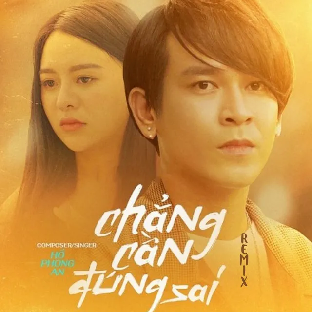 Chẳng Cần Đúng Sai - Remix