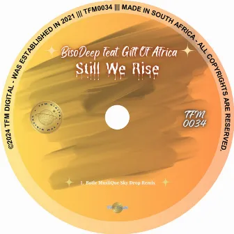 Still We Rise (Botle MusiiQue Sky Drop Remix) by BisoDeep