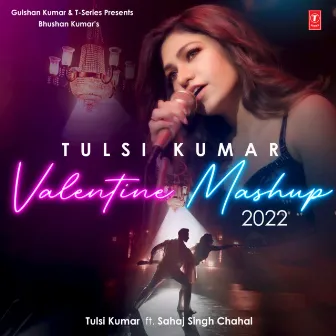 Tulsi Kumar Valentine Mashup 2022 by Aditya N.