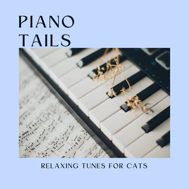 Piano Tails: Relaxing Tunes for Cats