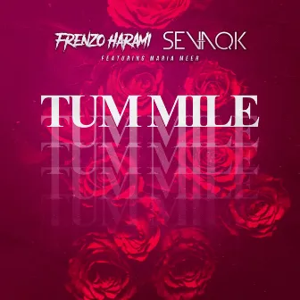 Tum Mile by Sevaqk