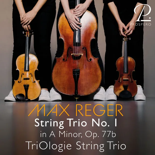 String Trio No. 1 in A Minor, Op. 77b: I. Sostenuto - Allegro agitato