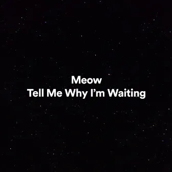 Tell Me Why I'm Waiting by Meow