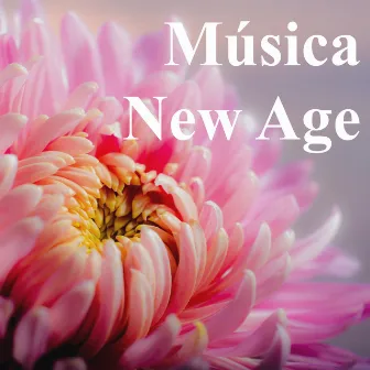 Música New Age – Meditación Zen y Reiki, Sonidos de la Naturaleza para Aprender a Meditar y a Trabajar Concentrado by Kundalini: Yoga, Meditation, Relaxation