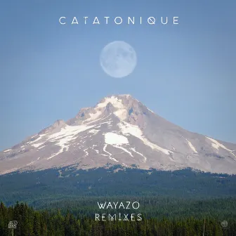 Wayazo (Remixes) by Catatonique