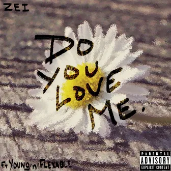 Do You Love Me by Zei