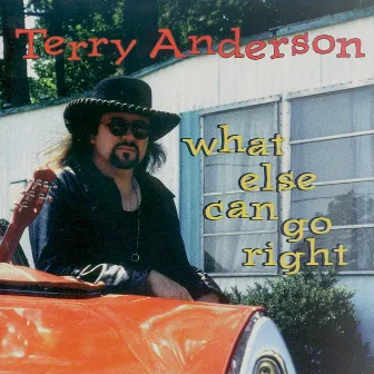 What Else Can Go Right by Terry Anderson