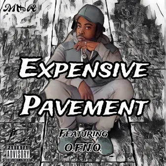 Expensive Pavement by T.K.Douts