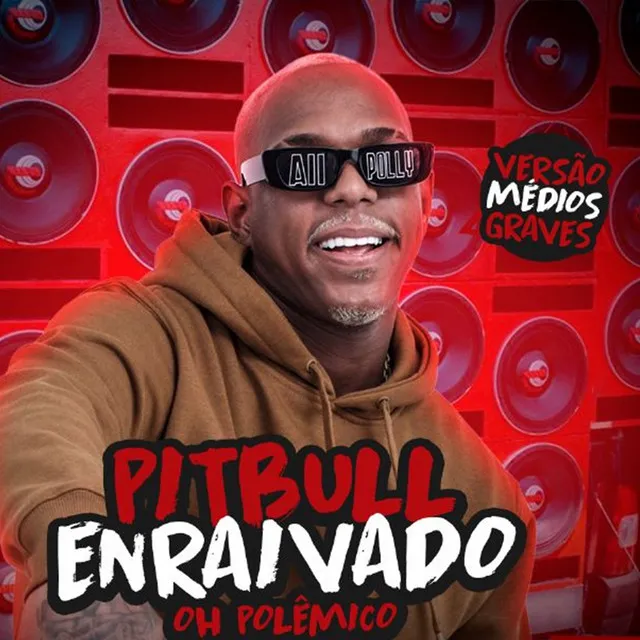 Pitbull Enraivado (feat. Favela no Beat)