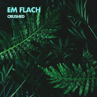 Crushed by Em Flach