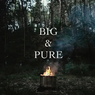 Big & Pure by Barbaiza