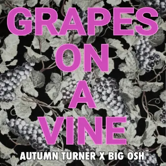 Grapes on a Vine by Big Osh