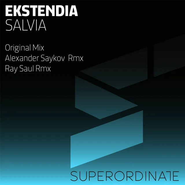 Salvia - Ray Saul Rmx