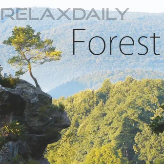 Forest by relaxdaily