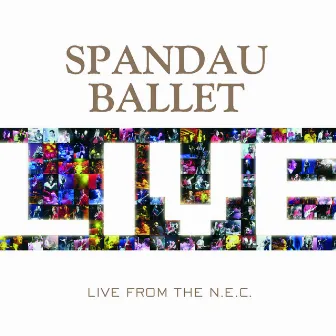 Live At The NEC by Spandau Ballet