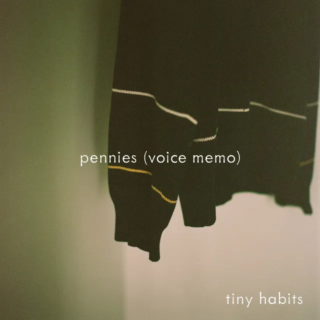 pennies (voice memo)