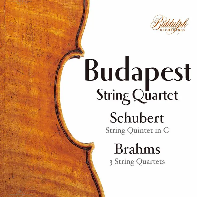 String Quintet in C Major, Op. 163, D. 956: II. Adagio