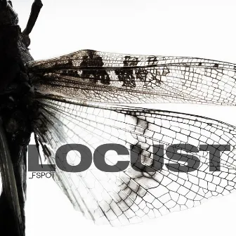 Locust by Fspot