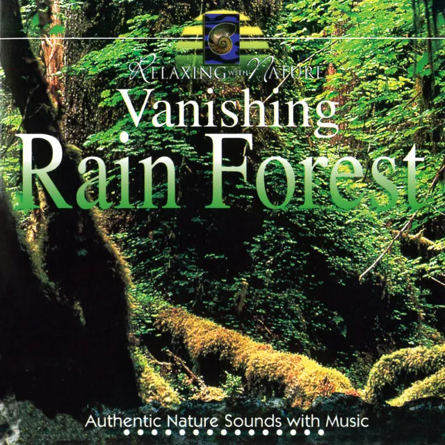 Vanishing Rain Forest