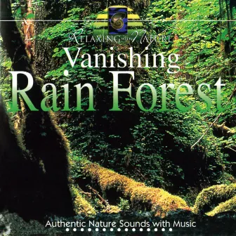 Vanishing Rain Forest by Steve Quinzi