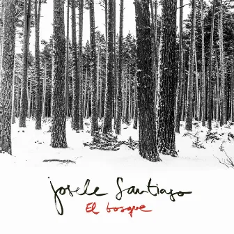 El Bosque (Radio Edit) by Josele Santiago