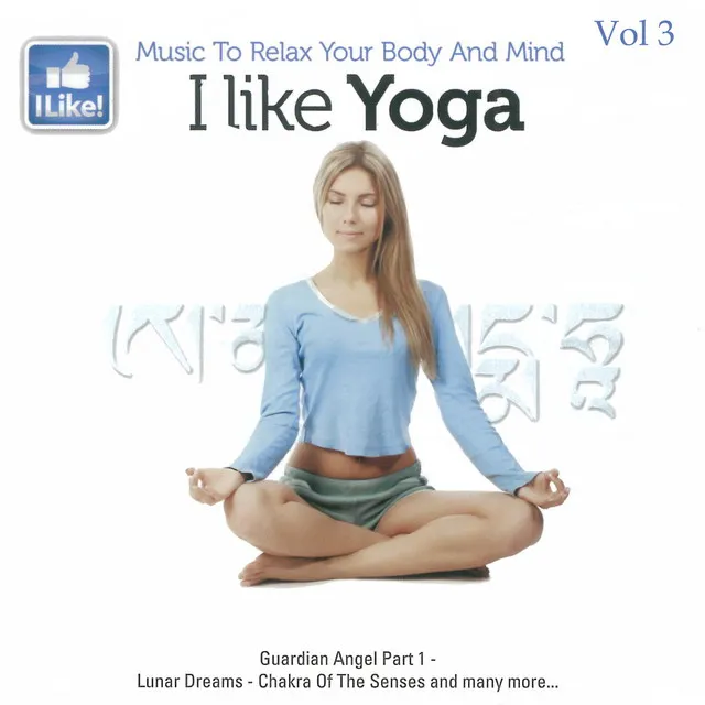 I Like Yoga, Vol. 3