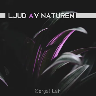 Ljud av naturen by Sergei Leif