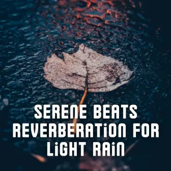 Serene Beats Reverberation for Light Rain by Forest Sounds FX