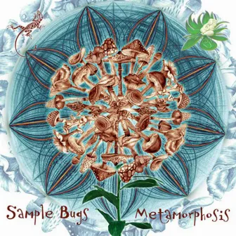 Metamorphosis by Sample Bugs