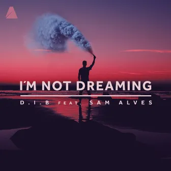 I'm Not Dreaming by D.I.B