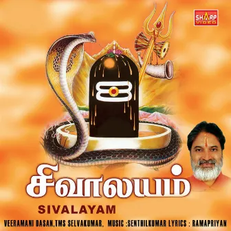 Sivaalayam by T. M. S. Selva Kumar