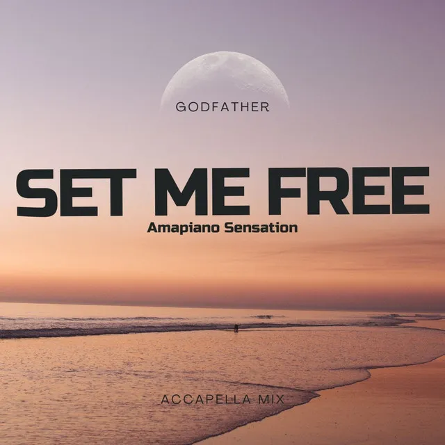 Set Me Free Amapiano Sensation