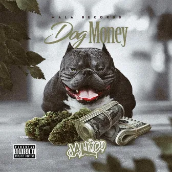 Dog Money by Unknown Artist