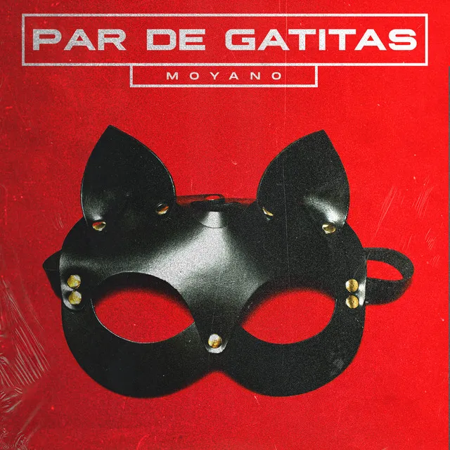 Par de Gatitas