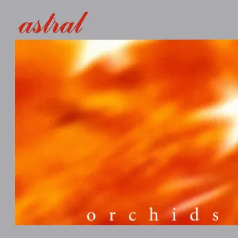 Orchids by Astral