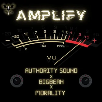 Amplify by Morality