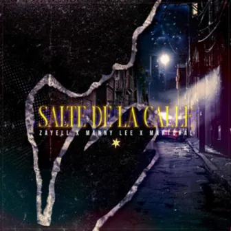 Salte de la Calle by Zayell