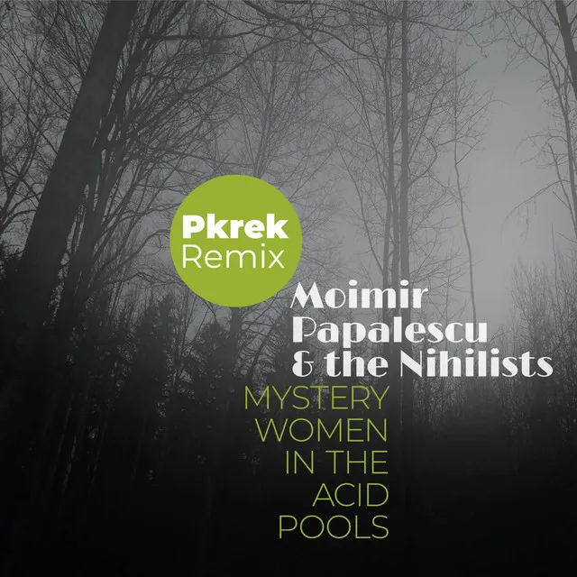 Mystery Women In The Acid Pools (Pkrek Remix)